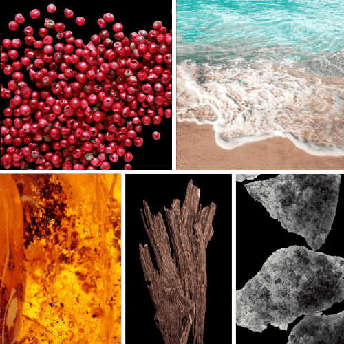 Preview: Profumo D’oro #124 – Duftnoten des Unisex Eau de Parfum mit Oud, Meeresnoten, Salz und rauchigen Facetten